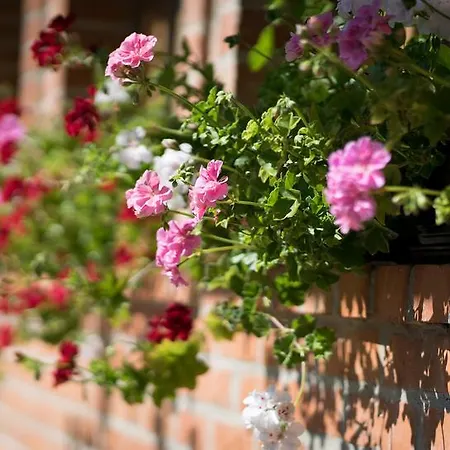 Maison d'hôtes Djokic