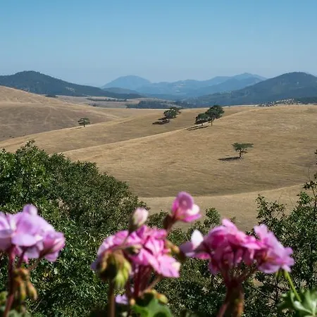 Djokic Maison d'hôtes Zlatibor